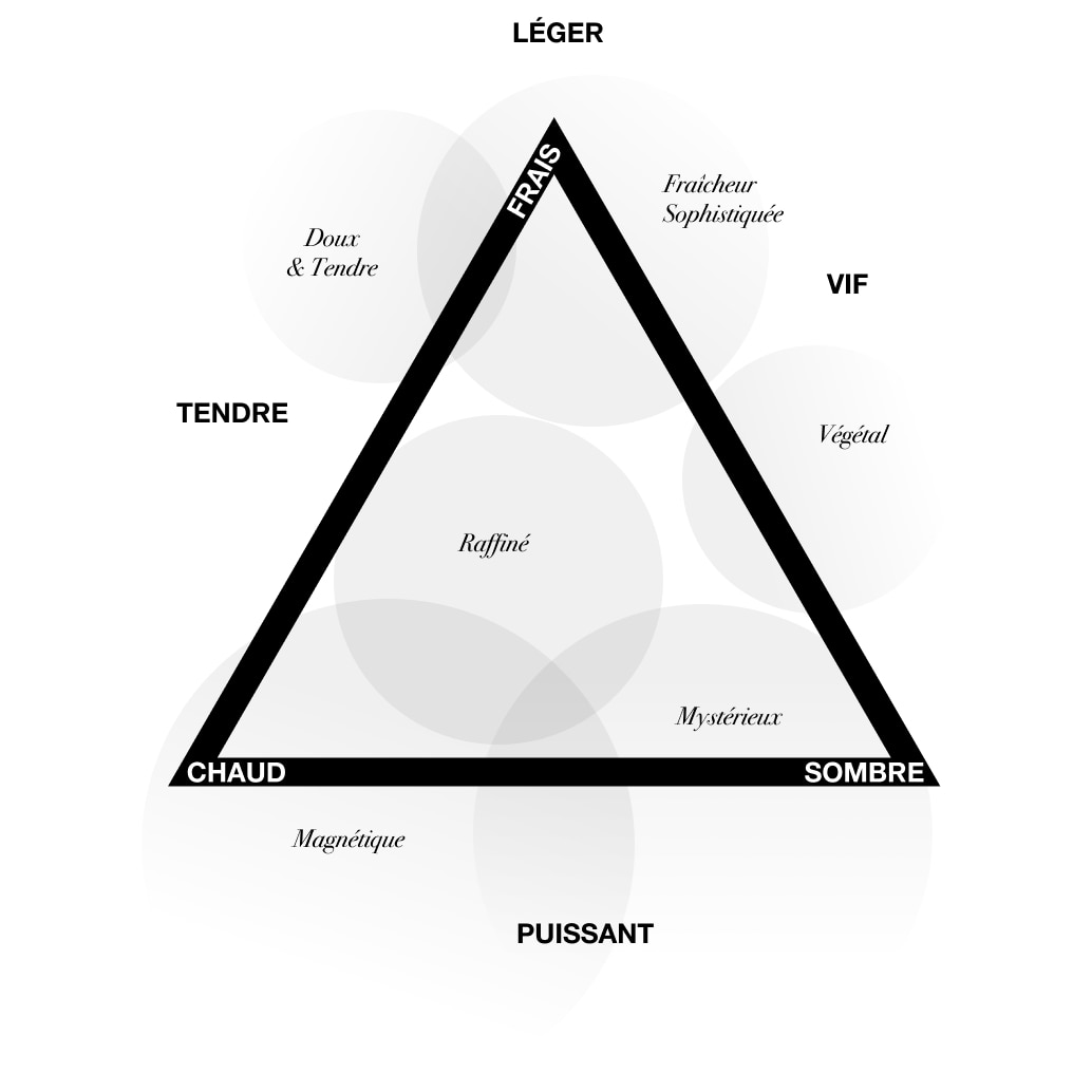 Olfactive Pyramid